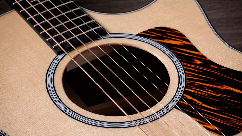 Next Generation 314ce Sapele Acoustic-Electric Guitar | Taylor Guitars